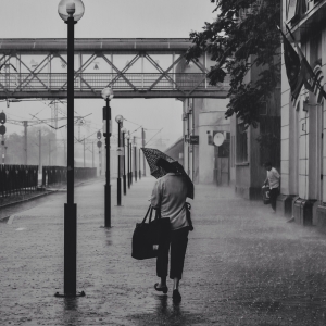 Who'll stop the rain? 