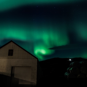 August in Islanda