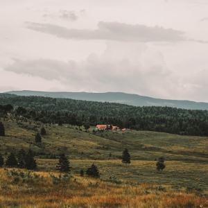 Esenta naturii 