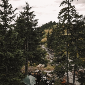 In the woods