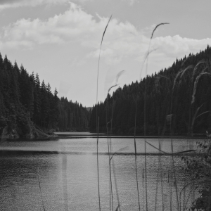 Lacul Bolboci 