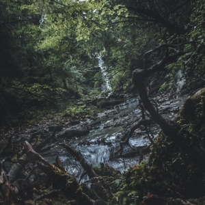 Natura 