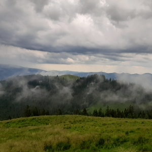 On top of the world
