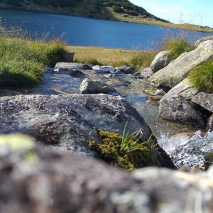 The River Flow