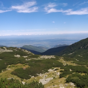 Top of the World
