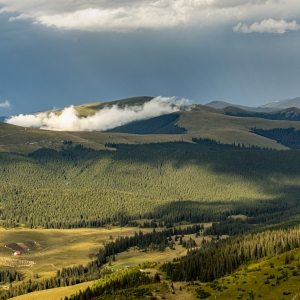 vedere Transalpina