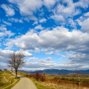 Comuna Grosi, Maramures