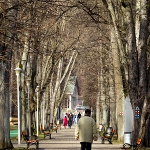 Parcul „Regina Maria”, Baia Mare, Maramures