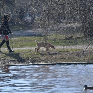 Plimbare în parc