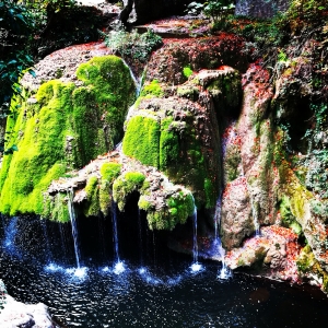 Frumoasa Cascada Bigar, pe vremea când era completa ☹️