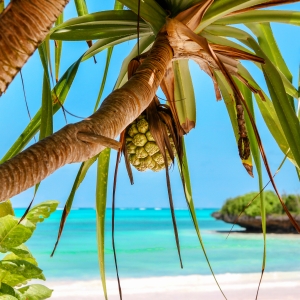 Paradisul din Zanzibar