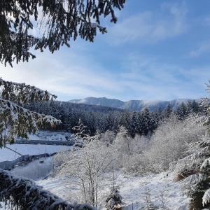 Pojorâta,Suceava 